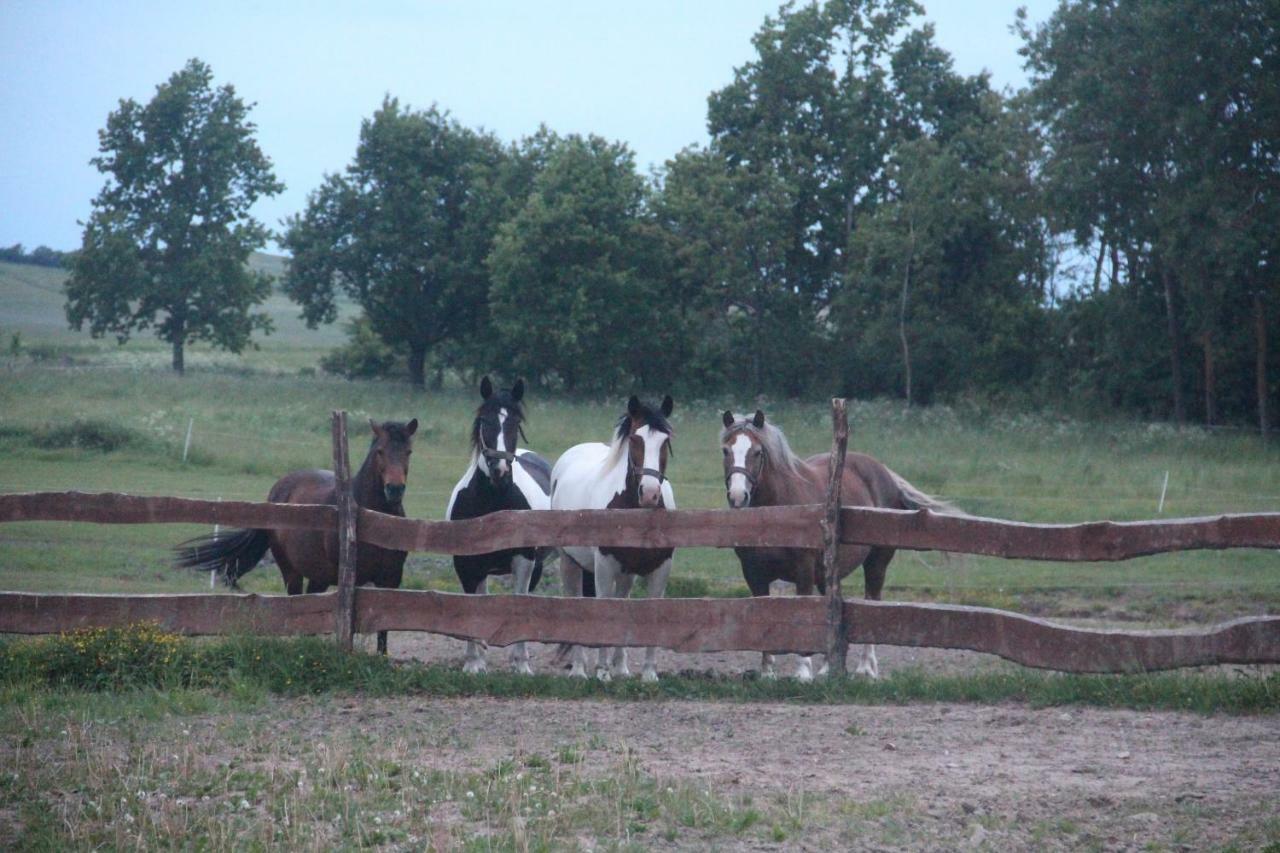 Siedlisko Gizewo Villa Buitenkant foto