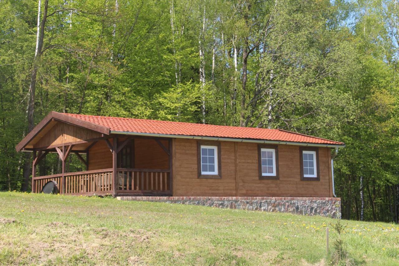 Siedlisko Gizewo Villa Buitenkant foto