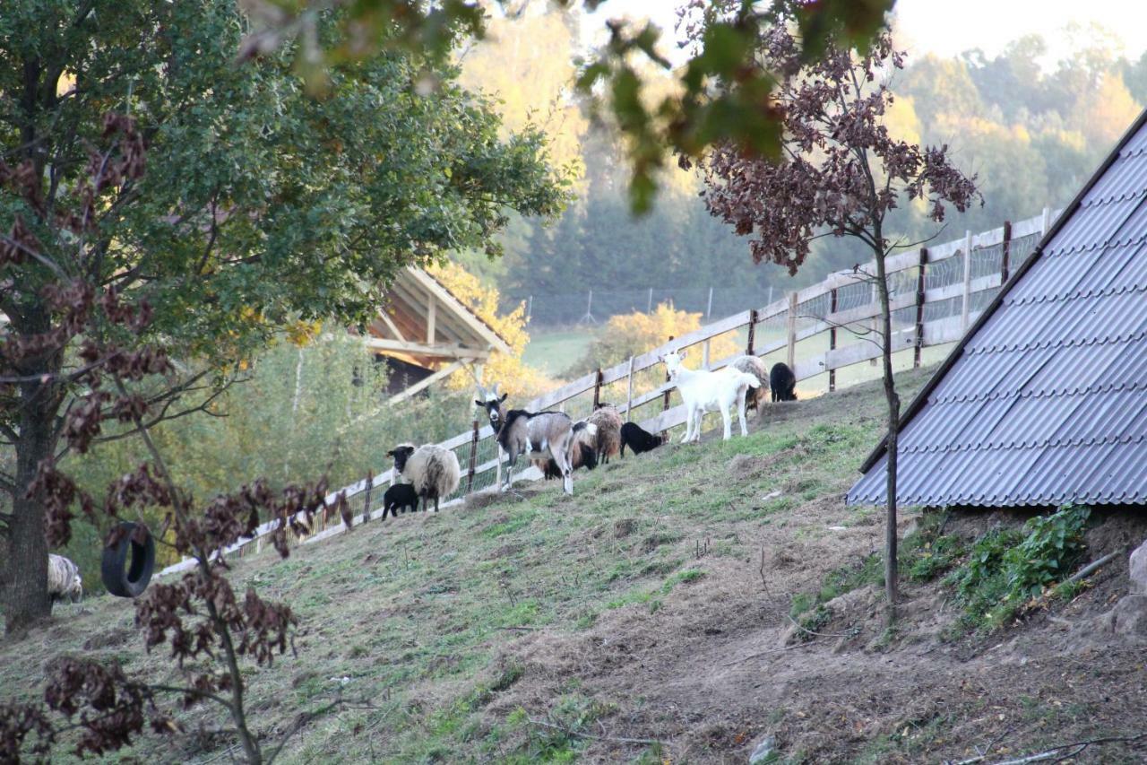 Siedlisko Gizewo Villa Buitenkant foto